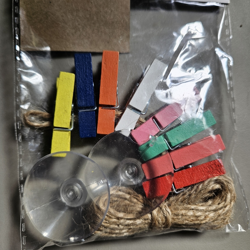 Colorful Mini Photo Clothespins Set